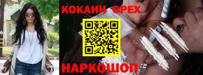 крисы Кунгур