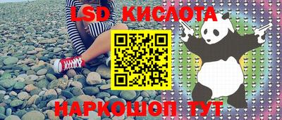 крисы Кунгур