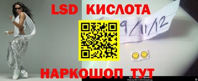 крисы Кунгур