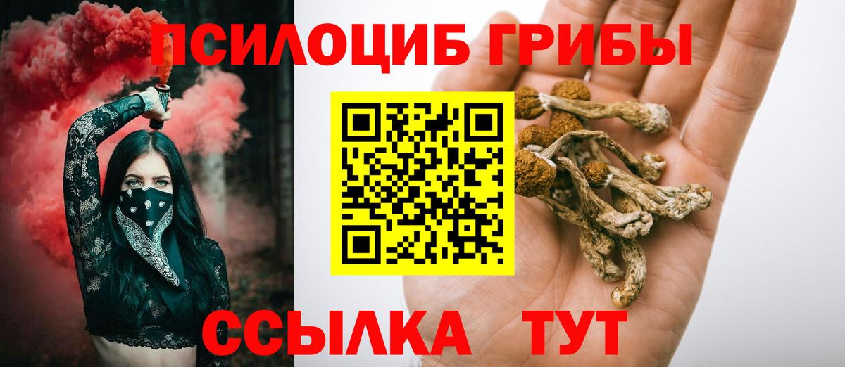 Сибай  Псилоцибиновые грибы Psilocybine cubensis  Вход с VPN 